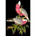 Gould - Rose-Breasted Cockatoo Painting t-shirts