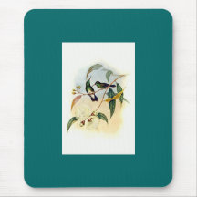 Gould - White-Bellied Emerald Hummingbird Mouse Pads