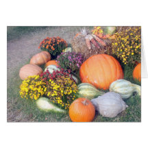 Gourds and Pumpkins Card