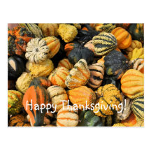 Gourds Galore! - postcard