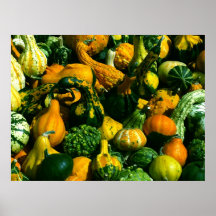 Gourds galore print