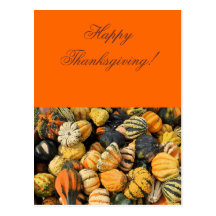 Gourds Galore! - Thanksgiving card Post Card