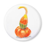 Gourds Refrigerator Magnets
