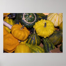 gourds poster