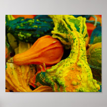 Gourds Posters