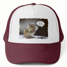 Chipmunk In Hat