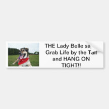 Grab Life by the Tail and HANG ON TIGHT! Bumper Sticker