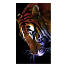 grace of a tiger business card template
