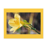 Grace postcards