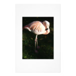 graceful flamingo stationery