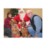 Gracie and Buddy - Golden Retrievers - Jim Carolyn postcards
