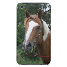 Gracie Girl Barely There iPod Cover