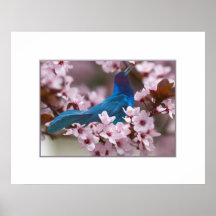 Grackle and Crabapple Blossoms Posters