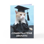 Graduation cards