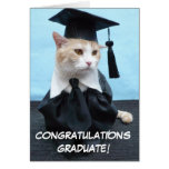 Graduation Card