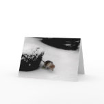 GRADUATION CONGRATULATIONS CARD