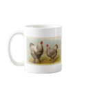 Graham - Dark Brahma Chickens Bookstore Promo mugs