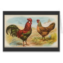 Graham - Leghorn Chickens cards