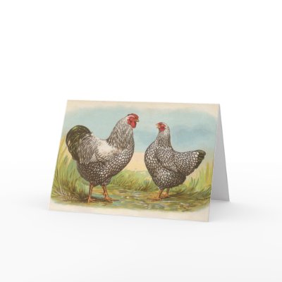 Graham - Silver Laced Wyandotte Chickens Card by LisasLair