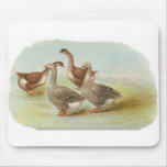 Graham - Toulouse and Brown China Geese mousepads