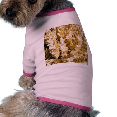 Grain Plant Seed Dog Tee by lifesphere