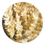 Grain Plant Seed Round Stickers