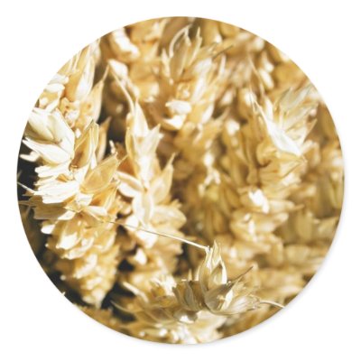 Grain Plant Seed Round Stickers by lifesphere