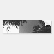 Grainy Black and White image of Trees and Sky. Bumper Stickers