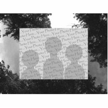 Grainy Black and White image of Trees and Sky. Acrylic Cut Outs