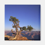 Grand Canyon, Arizona, USA Fridge Magnets