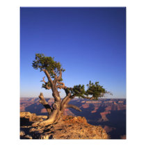 Grand Canyon, Arizona, USA