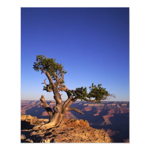 Grand Canyon, Arizona, USA Photographic Print