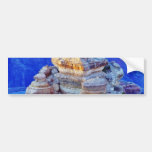 Grand Canyon At Sunset Bumper Stickers