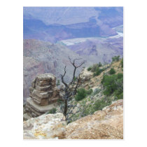Grand Canyon Cliff's Edge postcards