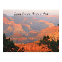grand canyon greetings post card