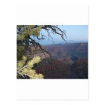 Grand Canyon Post Card