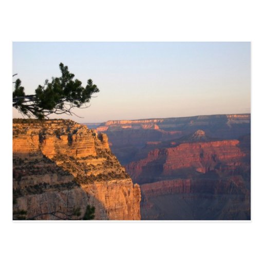 Grand Canyon Post Cards