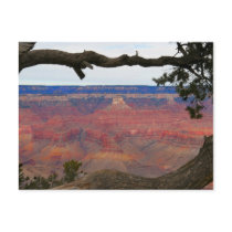 Grand Canyon Post Card