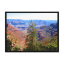 grand canyon tree border postcards