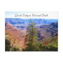 grand canyon tree postcards