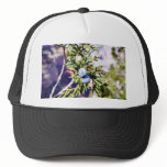 Grand Canyons Junipers Berry Berries hats