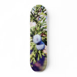 Grand Canyons Junipers Berry Berries Skate Boards