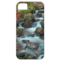 Grand Cascades Tendons Waterfall iPhone 5 Covers