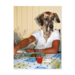 Grand danois man postcards