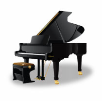 Grand Piano Photo Sculpture