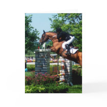 Grand Prix Horse Greeting Cards
