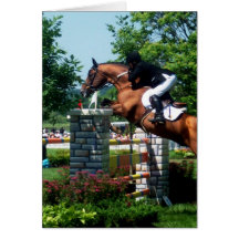 Grand Prix Horse Greeting Cards
