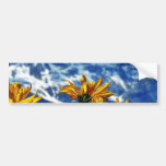 Grand Teton National Park Bumper Stickers
