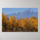 Grand Tetons Jackson Bay Posters