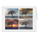 Grande Variation cards